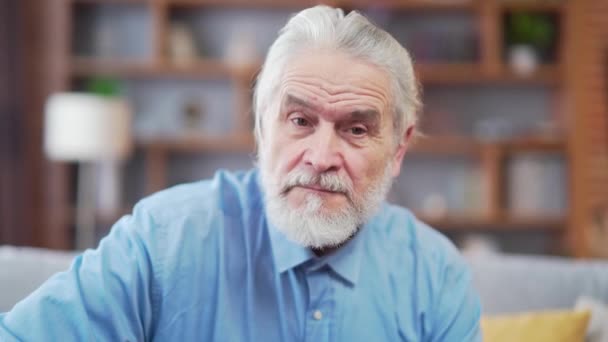 Portrait Confident Gray Haired Senior Mature Man Looking Camera Sitting — Wideo stockowe