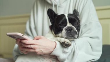 Bir evcil hayvanla akıllı telefon kullanan genç bir kadının ellerini kapat. Kız broşürleri, evinde kanepede oturan Fransız bir bulldog köpeğiyle birlikte akıllı telefon kullanır. Sohbet mesajlaşması sevgi dolu aşk