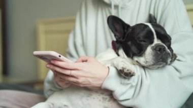 Bir evcil hayvanla akıllı telefon kullanan genç bir kadının ellerini kapat. Kız broşürleri, evinde kanepede oturan Fransız bir bulldog köpeğiyle birlikte akıllı telefon kullanır. Sohbet mesajlaşması sevgi dolu aşk