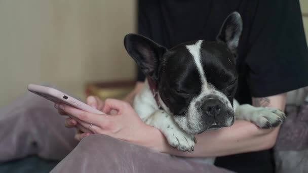 Close Young Woman Hands Using Smartphone Pet Girl Browses Use — Vídeos de Stock