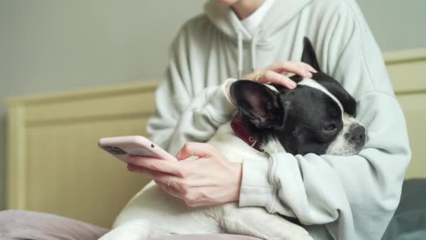 Close Young Woman Hands Using Smartphone Pet Girl Browses Use — Vídeos de Stock