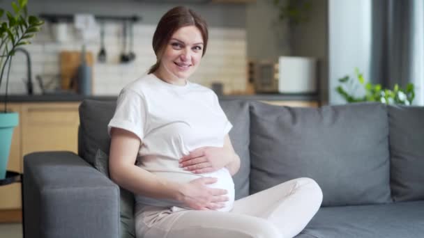 Portrait Young Happy Pregnant Caucasian Attractive Woman Sitting Sofa Home — Video