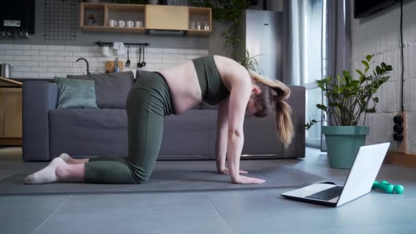 Pregnant Woman Doing Physical Exercises Mat Home Using Laptop Online — Vídeo de stock
