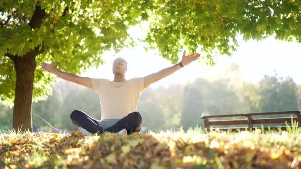 Junger Athletischer Mann Praktiziert Yoga Einem Park Oder Wald Der — Stockvideo