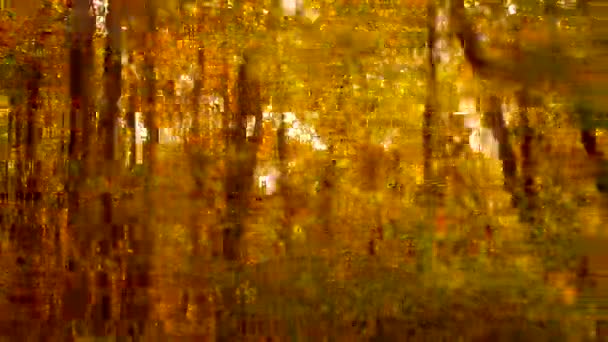 秋の森の向こうへ 午後遅くに太陽の光の木の過去の道路 秋の色を示す 車の窓からの助手席ハメビュー 太陽が木の間に輝いている オレンジ黄色の黄金の森の葉 — ストック動画