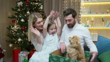 Mutlu ebeveynler, Noel Baba 'dan Noel ya da yeni yıl için bir çocuğa sürpriz bir köpek yavrusu hediye ederler. Mutluluk. Baba ve anne çocuklarına sürpriz yapıyor. Küçük kız evde bir hediye alıyor.