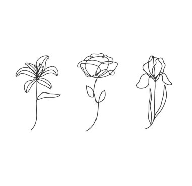 Lily, Iris ve Peony sanat çiçekleri. Tebrik kartı için tasarım elemanı, düğün davetiyesi