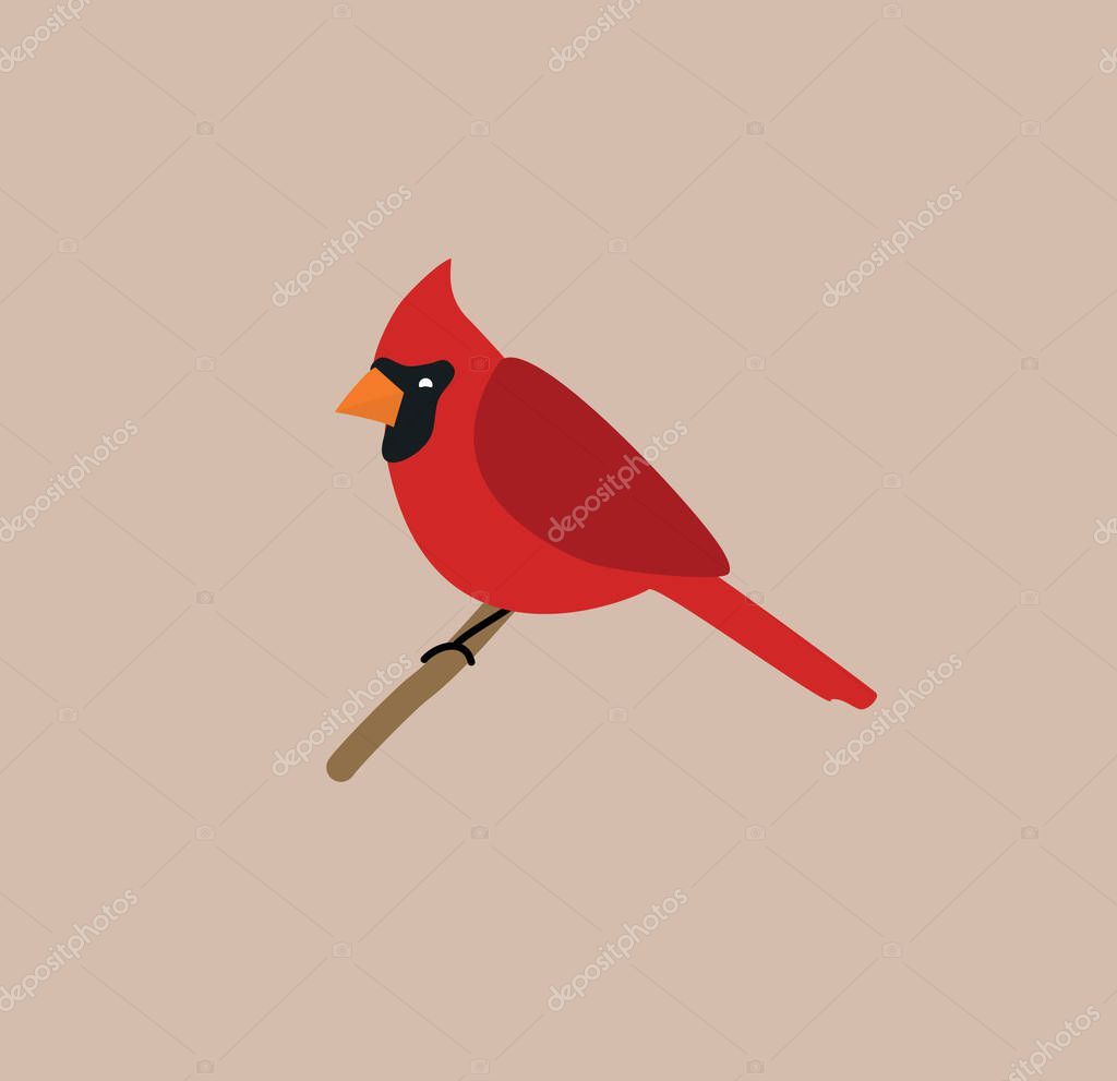 Cardinal Illustration. Nursery room Decoration. Vector Design Element