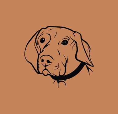 Macar Vizsla Vektör İllüstrasyonu. Logo Tasarımı