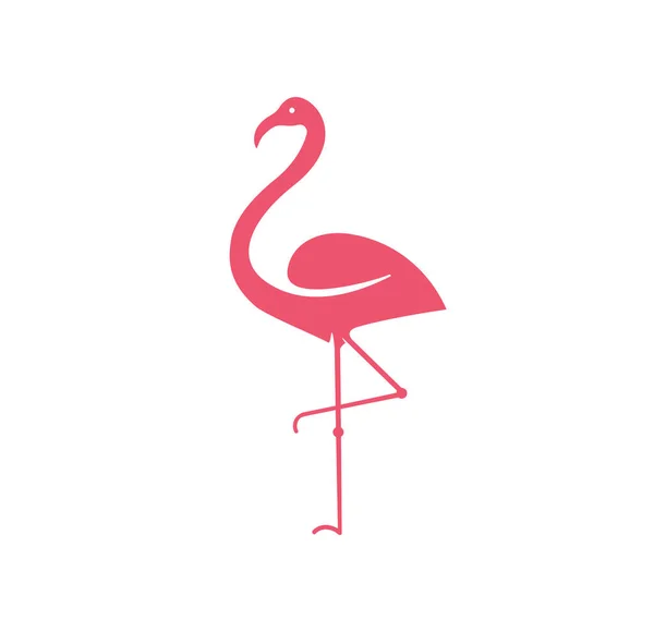 Rosa Flamingo Habitación Guardería Decoración — Vector de stock