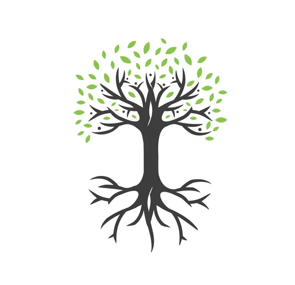 Mensen Tree Vector Logo Template Vector Illustratie Stockvector