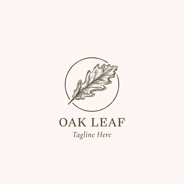 Meşe Yaprağı Soyut Vektör İşareti, Sembol veya Logo Şablonu. Elle çizilmiş Autumn Oak Yaprak Skeç Çizimi Retro Typography ile bir Çember Çerçevesi içinde. İzole edilmiş — Stok Vektör