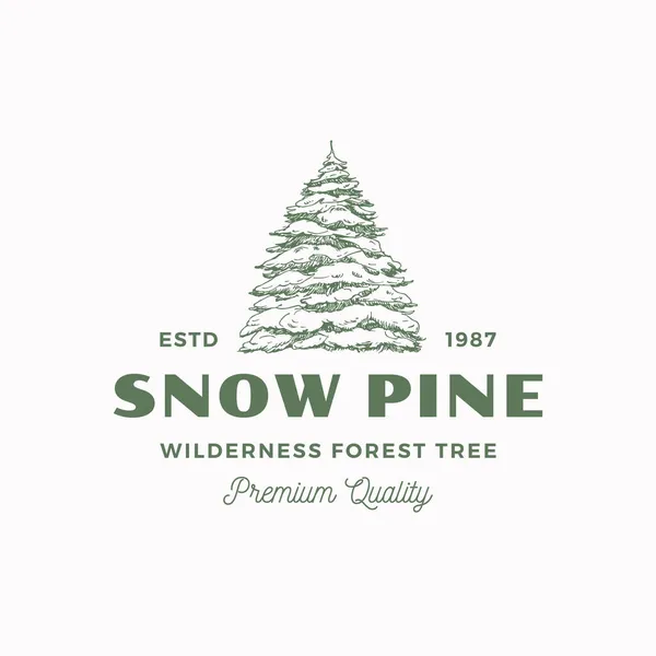 Snow Pine Abstract Vector Sign, Symbol or Logo Template (em inglês). Árvore de coníferas desenhada à mão coberta com silhueta de esboço de neve com tipografia retro. Isolados — Vetor de Stock