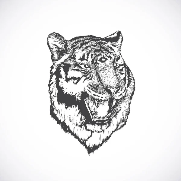 Asian New Year 2022 Greeting Symbol. Hand Drawn Tiger Head Chinese Zodiac Sign Sketch. Oriental Holiday Illustration. Isolated — стоковый вектор