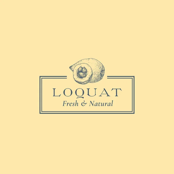 Loquat with a Slice Abstract Vector Sign, Symbol or Logo Template. Hand Drawn Fruits Sillhouette Sketch with Elegant Retro Typography and Frame. Vintage Luxury Emblem. Isolated — Stock Vector