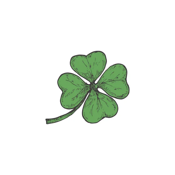 Desenho à mão Saint Patricks Day Color Vector Illustration. Green Shamrock or Clover Leaf Abstract Sketch (em inglês). Irish Holiday Gravura Estilo Desenho Isolado — Vetor de Stock