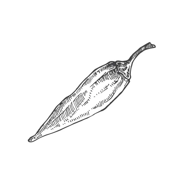 エコペッパーアイコンアウトライン 手描きベクトル 赤い漫画 ストックベクター C Lrsga Hotmail Com