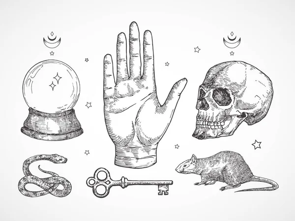 Mystical Magic metszet illusztrációk készlet. Kézzel rajzolt tetoválás stílus vázlatok kristálygömb, kígyó, kagyló, kulcs és csillagok Palmistry és alkímia szimbólumok gyűjtemény — Stock Vector
