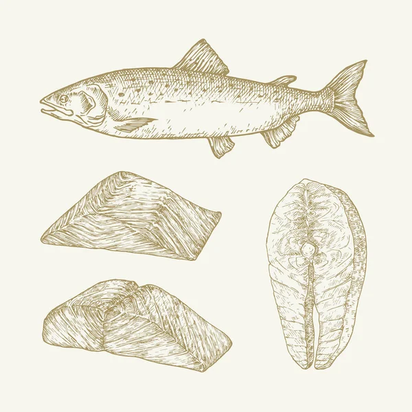 Ręcznie narysowane ilustracje wektora łososia atlantyckiego. Abstrakcyjne filety rybne i szkice stekowe. Rysunki stylu grawerowania izolowane — Wektor stockowy