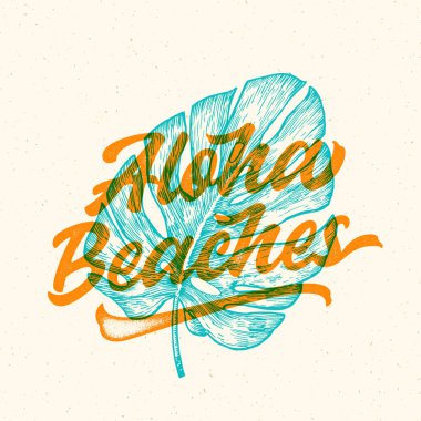 Aloha plaj harfleri. Havaiian yaz tropikal işareti, etiket, eski püskü desenli kart şablonu. El çizimi canavar yaprağı taslak stili dekoratif çizim izole edildi