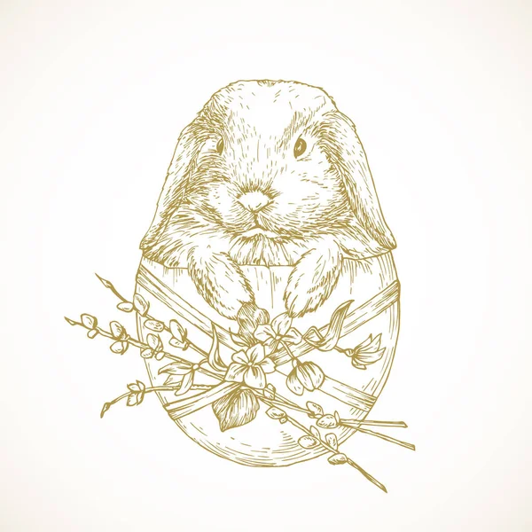 Рисунок милого маленького пасхального зайчика. Новорожденный кролик в яйце с ивой. Рисунок в стиле весенних праздников — стоковый вектор