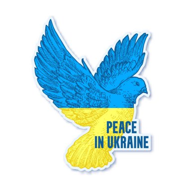 Ukrayna 'da barış. El çizilmiş Ukrayna bayrağı güvercin barış sembolü, işaret, rozet, etiket tmplakası. Ukrayna için dua et, yardım et, savaş giysisinin amblemini durdur. Sosyal medya çıkartması. İzole edilmiş