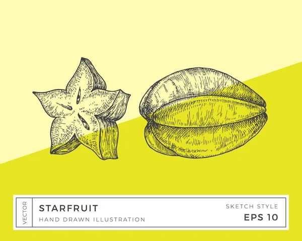 Vector dibujado a mano Starfruit Illustration. Vegano dibujo de alimentos a base de plantas con fondo colorido aislado — Vector de stock