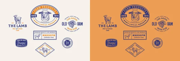 Sheep Farm Retro Emblemas Emoldurados Coleção Modelos Logotipo Cordeiro Desenhado — Vetor de Stock