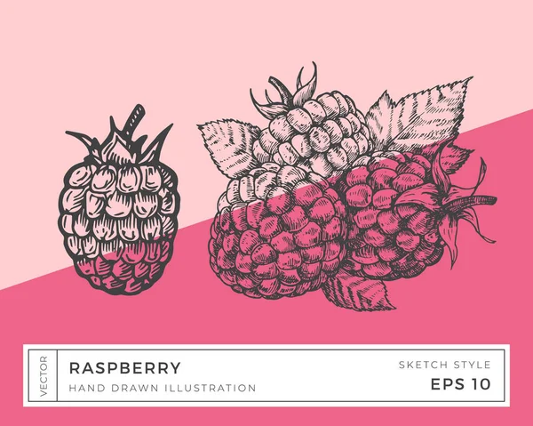 手描きベクトルラズベリーベリーイラスト カラフルな背景を持つビーガン植物ベースの食品図面 — ストックベクタ