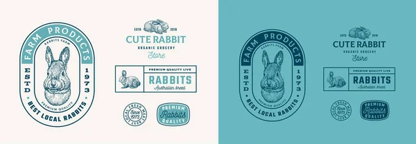 Coelhos Farm Retro Emblemas Emoldurados Logo Templates Collection Cara Lebre — Vetor de Stock