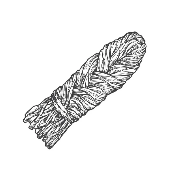 Suluguni Pigtail Hand Drawn Vector Illustration Sketch Traditional Georgian Smoked — Stockový vektor