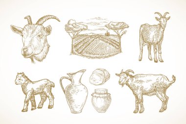 Keçi Çiftliği Ürünleri ve Nesneleri. Sığır, Süt, Kır Peyniri ve Kırsal Arazi Manzarası El Çizimi Vektör Resimleri Seti. Evcil Hayvanlar Taslak Paketi. Doodle Style Çizim Koleksiyonu. İzole edilmiş