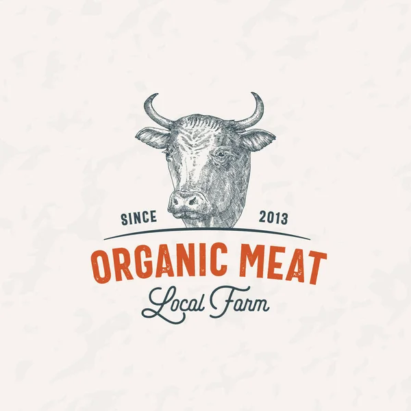 Kráva Masná Farma Retro Odznak Logo Šablony Ručně Kreslený Portrét — Stockový vektor