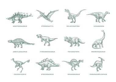 Tarih öncesi Dinozorlar Çizim İşaretleri, Semboller veya İllüstrasyonlar Kümesi. El Çekimi Kadim Sürüngenler Siluet Koleksiyonu T-rex, Raptor ve diğerleri. Doodle Style Çizim Paketi. İzole edilmiş