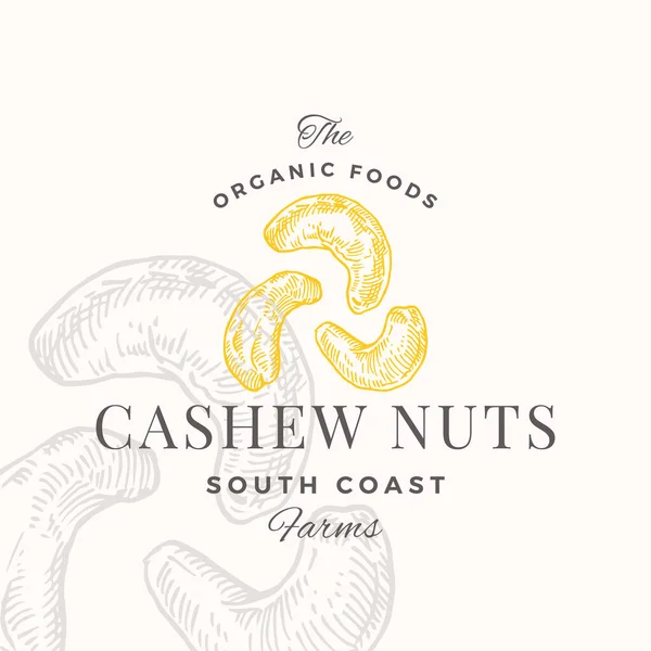 Cashew Logo Mallen Hand Drawn Nuts Skiss Med Retro Typografi — Stock vektor