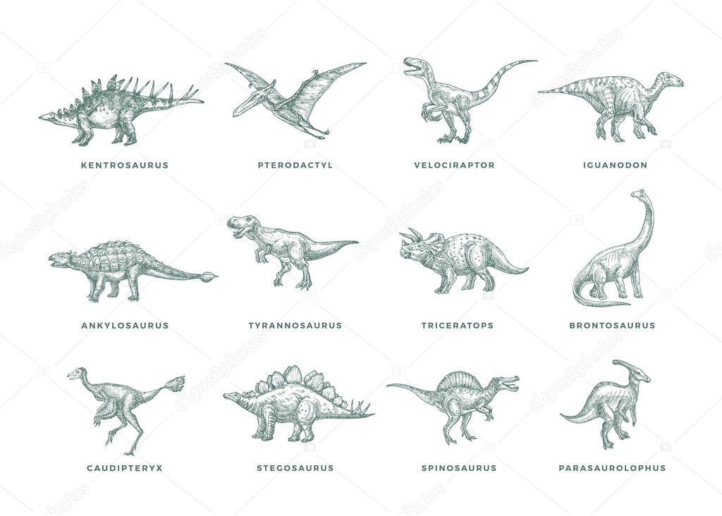 Prehistoric Dinosaurs Sketch Signs, Symbols or Illustrations Set. Hand Drawn Vector Ancient Reptiles Silhouettes Collection with T-rex, Raptor and others. Doodle Style Drawings Bundle. Isolated