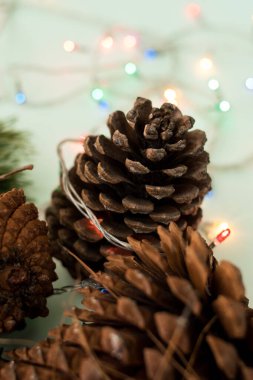 Parlak yeşil bir yüzey üzerinde bazı çam kozalakları ve dallar 