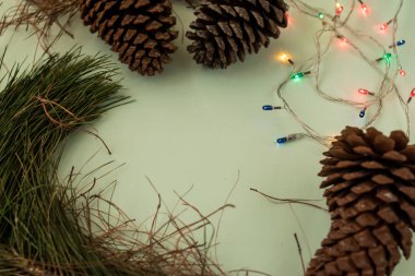 Parlak yeşil bir yüzey üzerinde bazı çam kozalakları ve dallar 