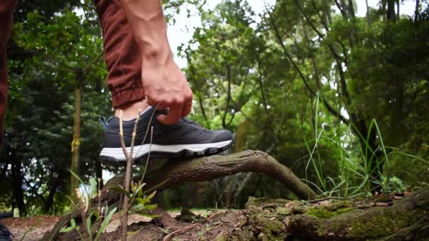 Человек Завязывающий Свои Треккинговые Ботинки Ветке Посреди Леса Затем Продолжающий — стоковое видео