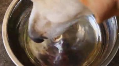 Köpekler yerdeki metal bir tencereden su içiyorlar.