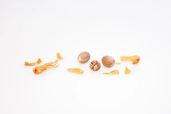 Mace and Nutmeg — Stock Photo, Image