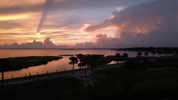 Silhouet Pelikaan Vliegen Zijwaarts Silhouet Van Prachtige Zonsondergang Charleston Zuid — Stockvideo