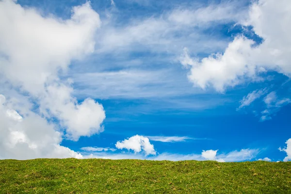 White cloud, Green Grass and Blue Sky — Stock Photo, Image