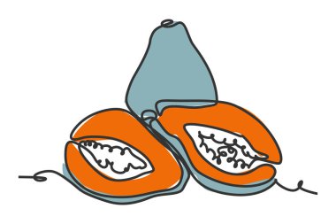 simple flat color continuous one line drawing of papaya fruit. Vector illustration for natural and healthy living design concept
