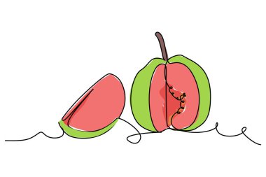 simple flat color continuous one line drawing of a guava fruit. Vector illustration for natural and healthy living design concept