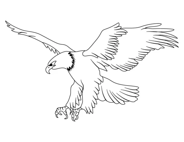 Adler Isoliert Auf Weißem Grund — Stockvektor