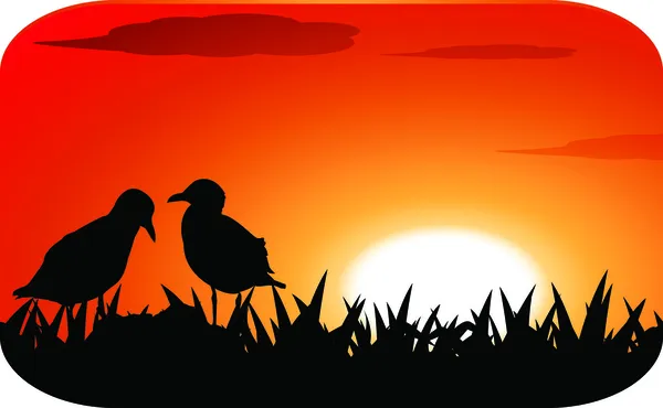Poussins au coucher du soleil — Image vectorielle
