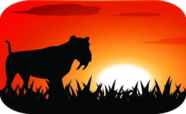 Leopard med solnedgång — Stock vektor