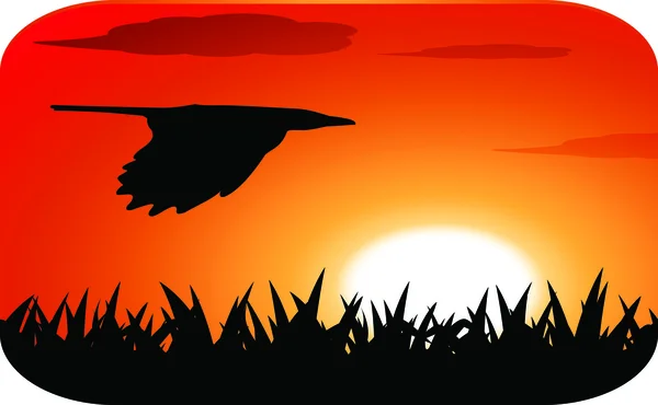 Fliegender Vogel bei Sonnenuntergang — Stockvektor