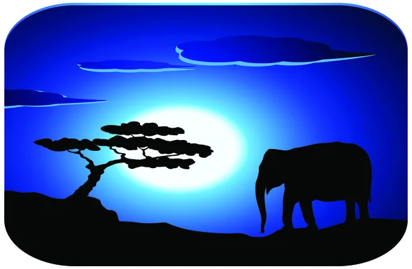 Слон на рассвете — стоковый вектор